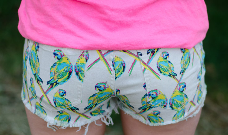 dittos-love-bird-shorts-back