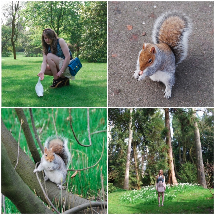 botanical-gardens-animals