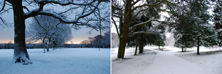 adam-york-snow-photos