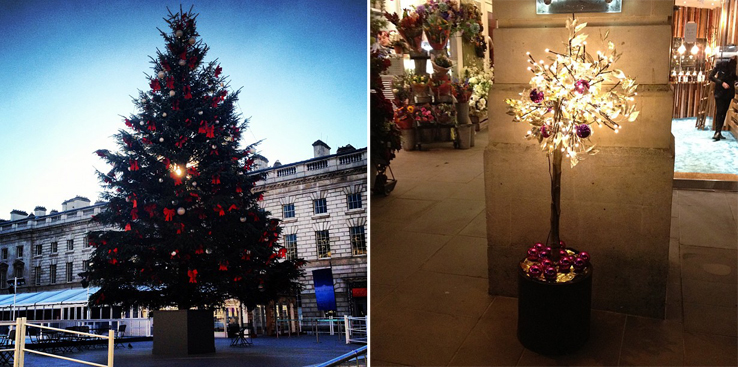 raindrops-of-sapphire-christmas-decorations-trees