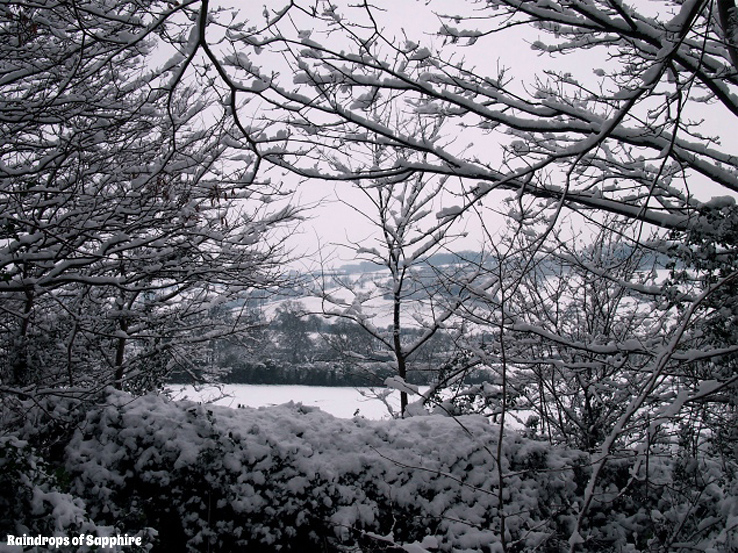 raindrops-of-sapphire-snow