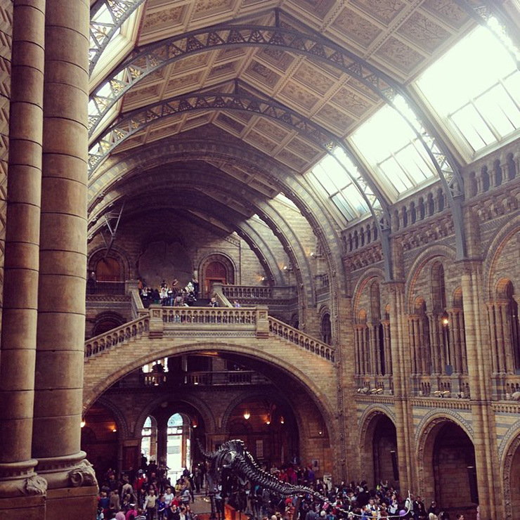 london-natural-history-museum-5