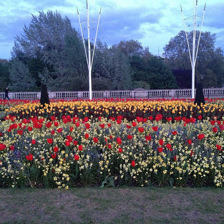 london-palace-flowers