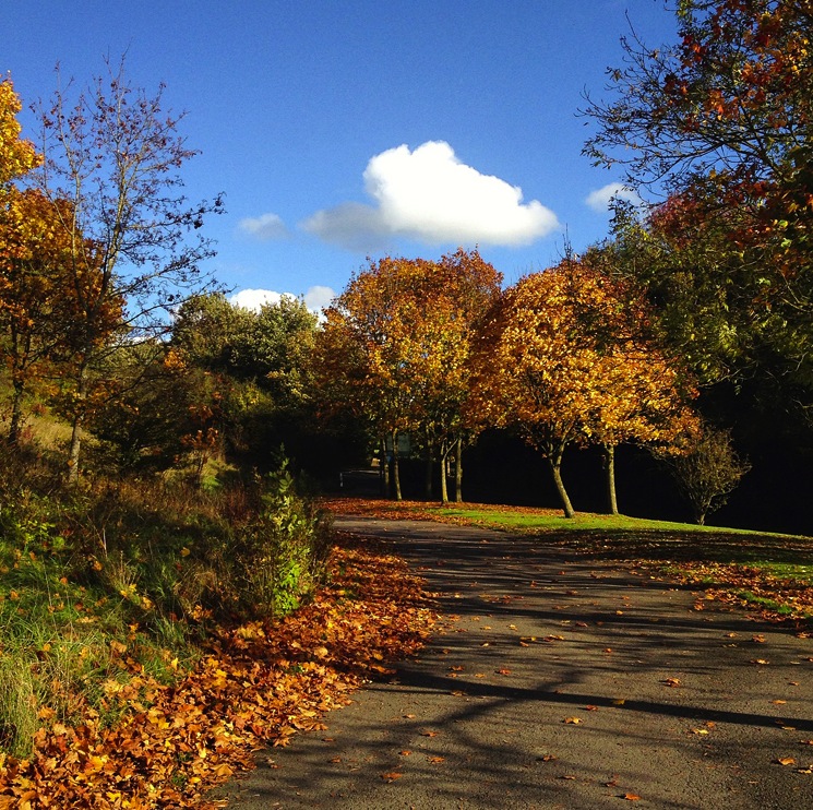 autumn-trees-bath