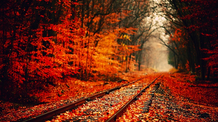 fall-autumn-train-track