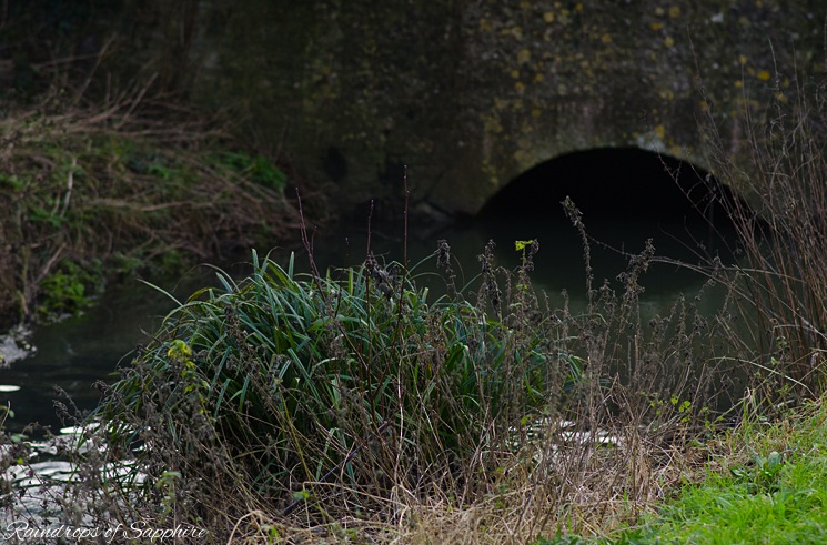 tunnel-river