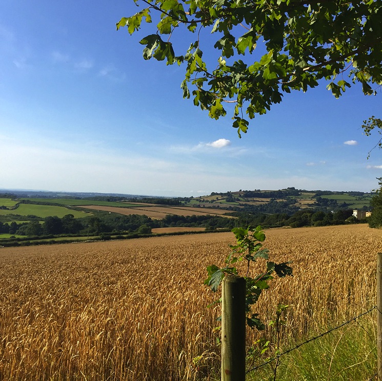 bath-countryside