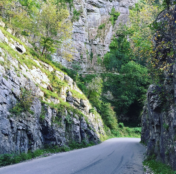 cheddar-gorge