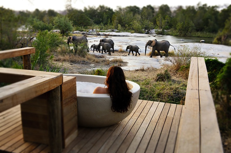 Londolozi-Private-Game-Reserve6