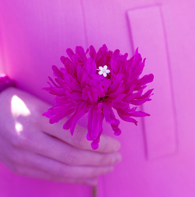 pandora-white-flower-daisy-ring